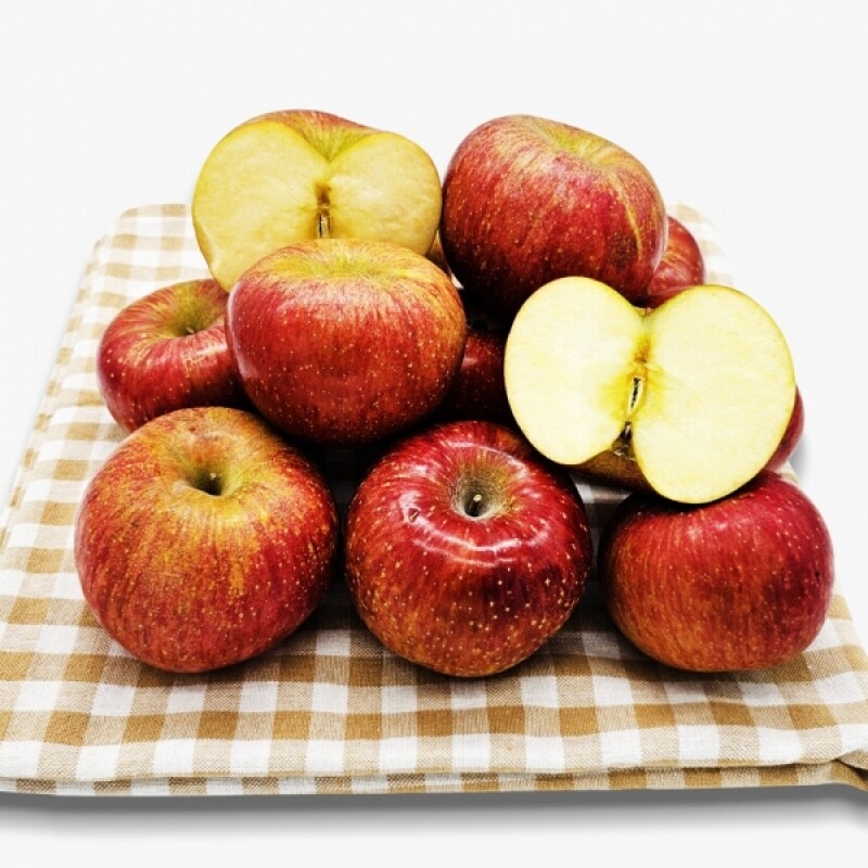 강원더몰,사과 (부사) 가정용 사과,  아삭한 못난이 꿀사과  5kg 20과 내외